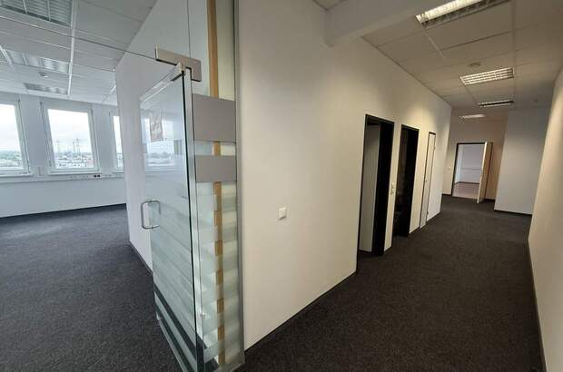 Büro / Praxis mieten in 2351 Wr. Neudorf (Bild 4)