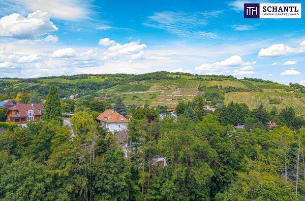 Grundstück kaufen in 3400 Klosterneuburg (Bild 2)