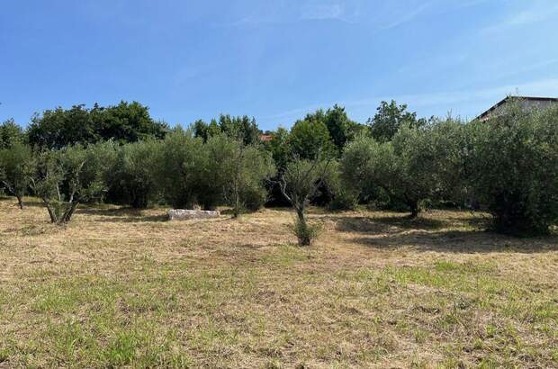 Grundstück kaufen in 52464 Kaštelir (Bild 1)