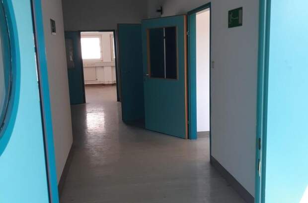 Büro / Praxis mieten in 3580 Horn (Bild 4)