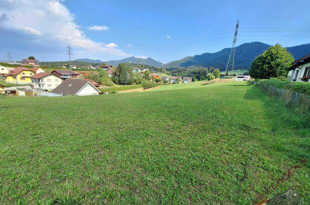 Grundstück kaufen in 8662 Mitterdorf (Bild 5)