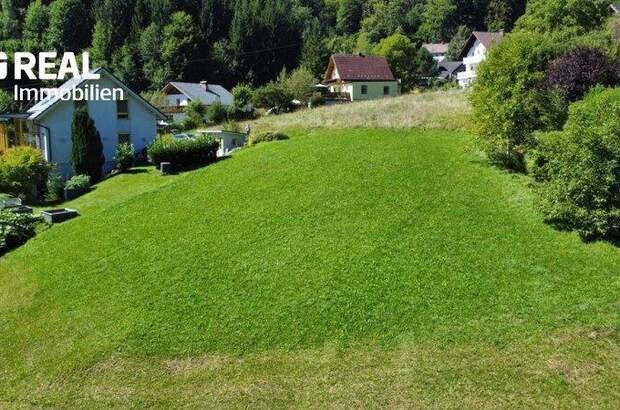 Grundstück kaufen in 8940 Liezen (Bild 5)