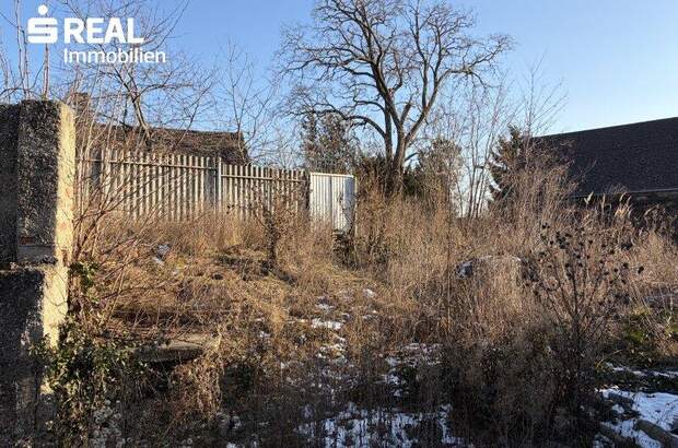 Haus kaufen in 2182 Palterndorf (Bild 4)