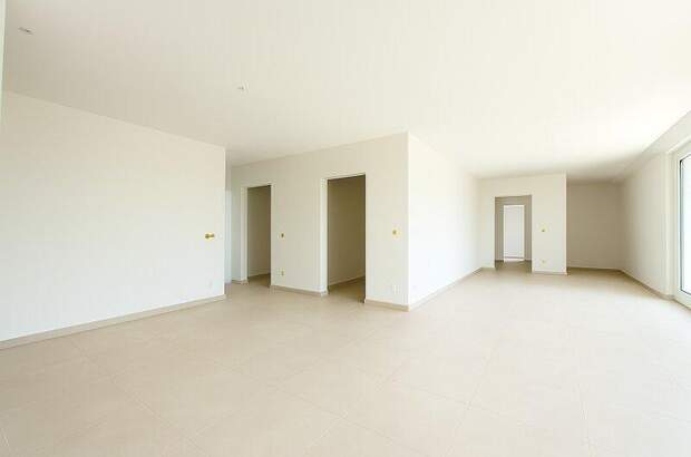 Terrassenwohnung mieten in 1100 Wien (Bild 2)