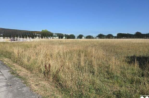 Grundstück kaufen in 3300 Amstetten (Bild 3)