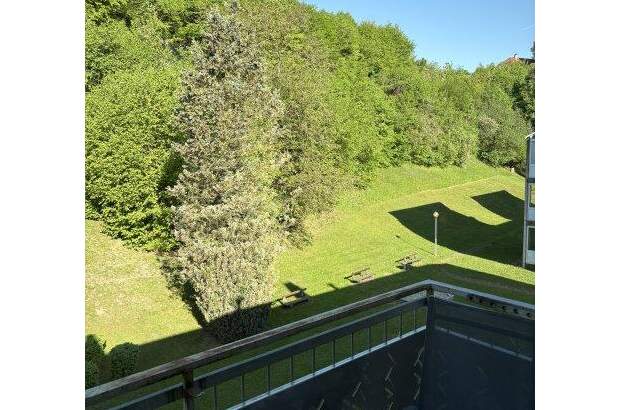 Terrassenwohnung mieten in 4594 Grünburg (Bild 3)