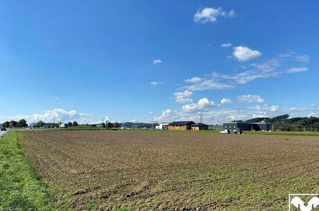 Gewerbeobjekt kaufen in 4671 Neukirchen (Bild 2)