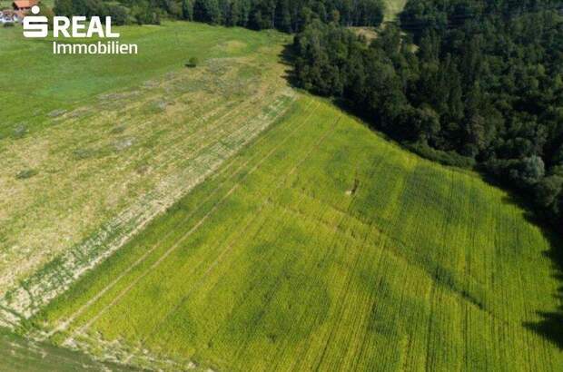 Immobilie kaufen in 8044 Graz (Bild 2)