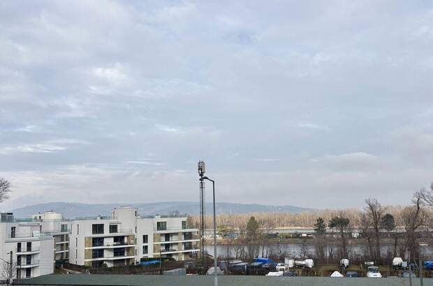 Wohnung mieten in 1190 Wien (Bild 2)