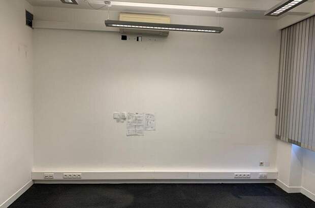 Gewerbeobjekt mieten in 8211 Ilztal (Bild 5)