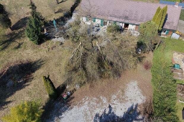 Grundstück kaufen in 8051 Thal (Bild 2)