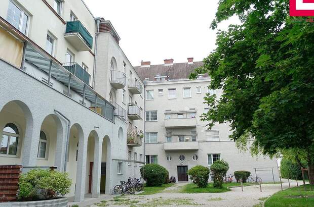 Wohnung mieten in 4600 Wels (Bild 1)