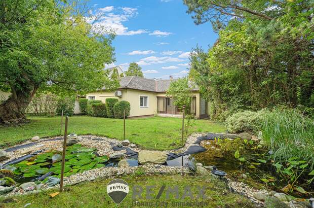 Einfamilienhaus kaufen in 2102 Klein (Bild 3)