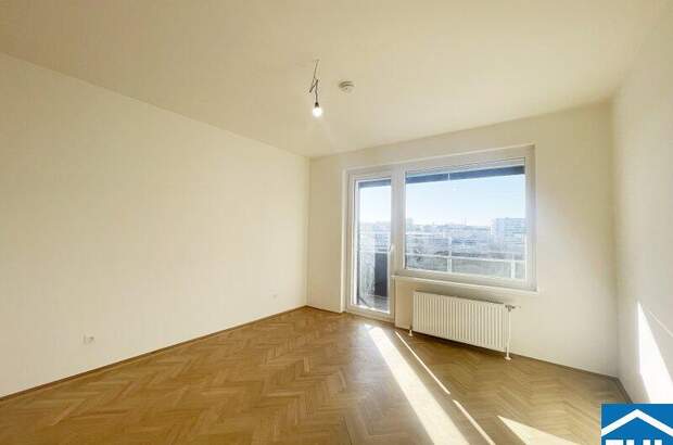 Terrassenwohnung mieten in 1030 Wien (Bild 1)