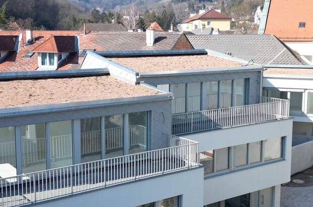 Haus mit Garten kaufen in 3400 Klosterneuburg (Bild 4)