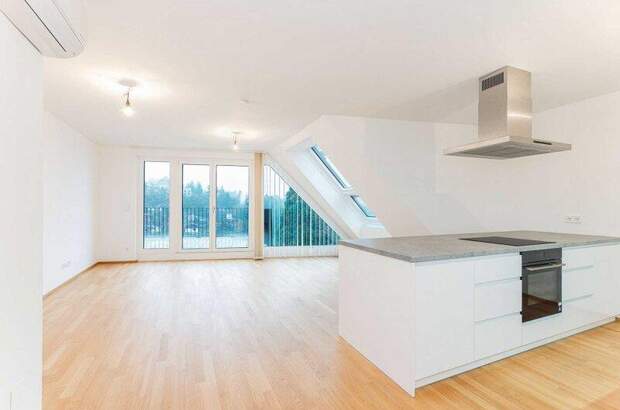 Terrassenwohnung mieten in 1190 Wien (Bild 5)