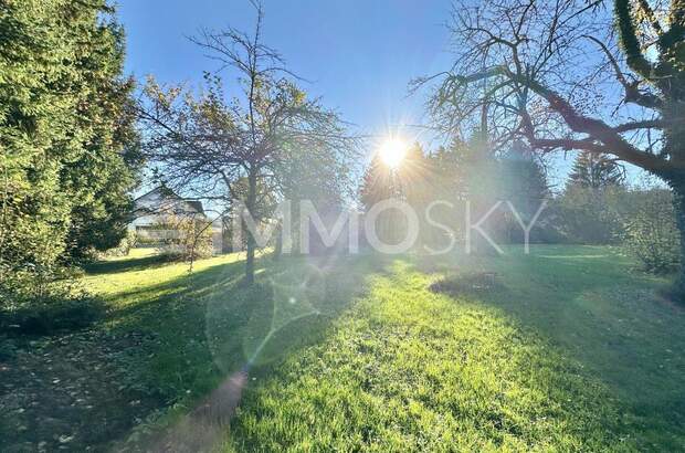 Grundstück kaufen in 6972 Fußach (Bild 1)