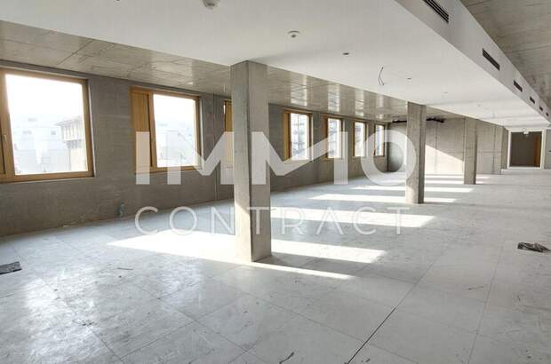 Gewerbeobjekt mieten in 1230 Wien (Bild 2)