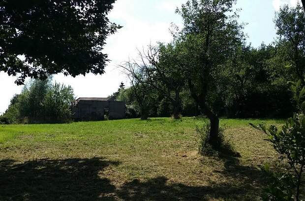 Jagd- und Forstwirtschaft kaufen in 3434 Wilfersdorf (Bild 2)