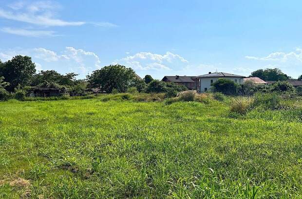 Grundstück kaufen in 8403 Bachsdorf (Bild 3)