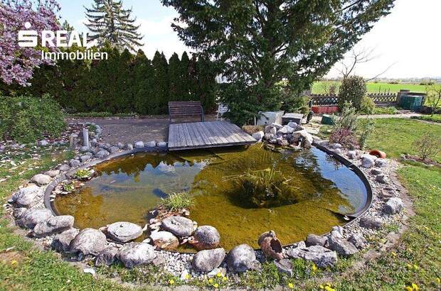 Haus kaufen in 7321 Lackendorf (Bild 5)