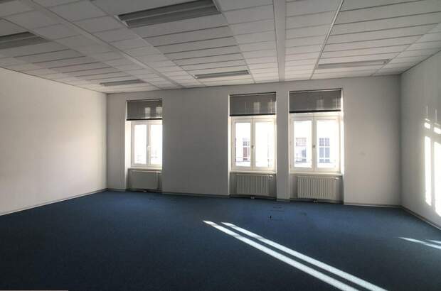 Gewerbeobjekt mieten in 1210 Wien (Bild 5)