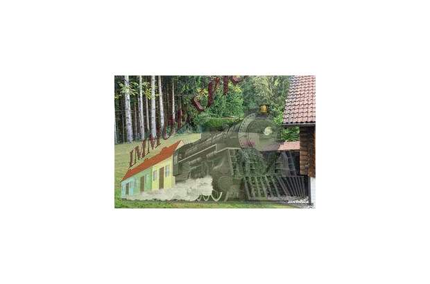 Haus kaufen in 4801 Traunkirchen (Bild 3)