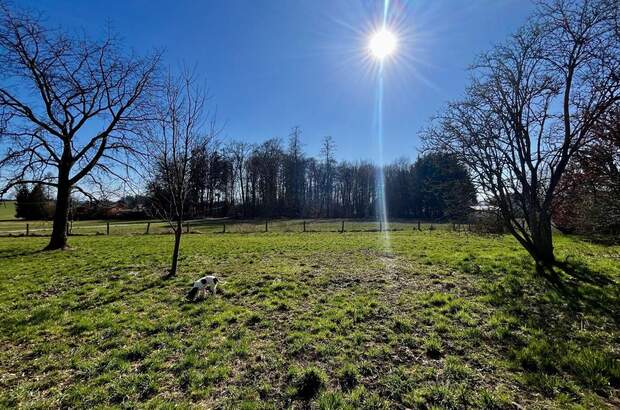 Grundstück kaufen in 5110 Oberndorf (Bild 1)