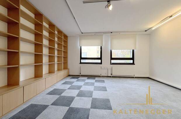 Gewerbeobjekt mieten in 1080 Wien (Bild 4)