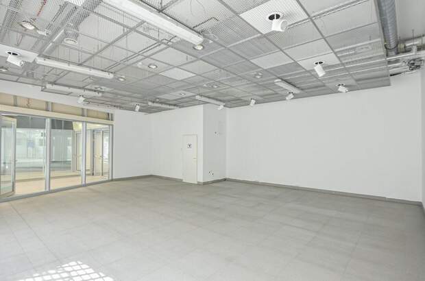 Gewerbeobjekt mieten in 1100 Wien (Bild 2)