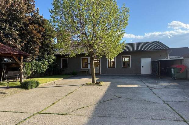 Anlageobjekt kaufen in 2424 Zurndorf (Bild 5)