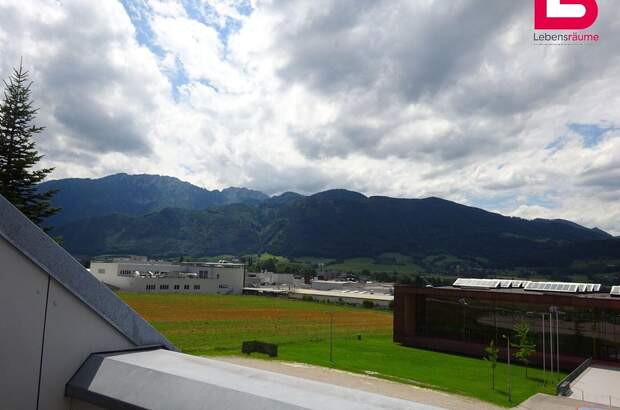 Wohnung mieten in 4560 Kirchdorf (Bild 3)