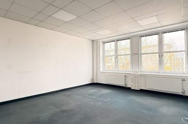 Gewerbeobjekt mieten in 2320 Schwechat (Bild 2)