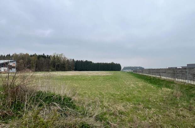 Grundstück kaufen in 4621 Schnarrndorf (Bild 2)