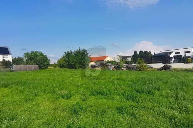 Grundstück kaufen in 7123 Mönchhof (Bild 1)