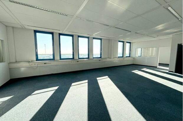 Büro / Praxis mieten in 2351 Wr. Neudorf (Bild 1)