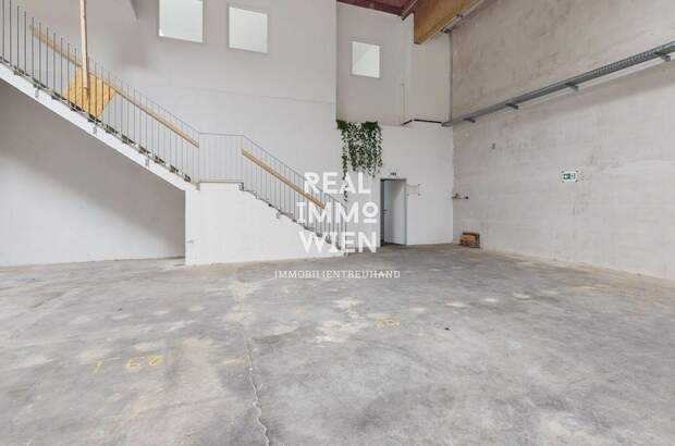 Gewerbeobjekt mieten in 2514 Traiskirchen (Bild 3)