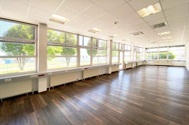 Gewerbeobjekt mieten in 4614 Marchtrenk (Bild 5)