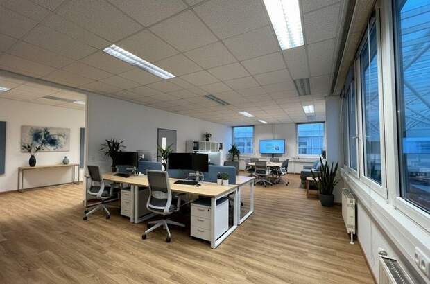 Gewerbeobjekt mieten in 4060 Leonding (Bild 2)