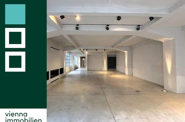 Terrassenwohnung mieten in 1070 Wien (Bild 1)