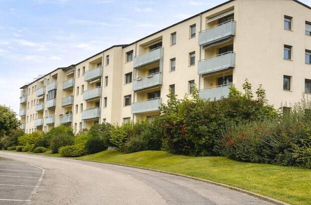 Wohnung mit Balkon kaufen in 4501 Neuhofen (Bild 2)