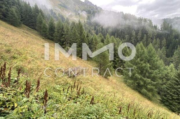 Immobilie kaufen in 9981 Kals (Bild 2)