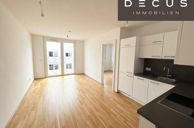 Terrassenwohnung mieten in 1220 Wien (Bild 1)