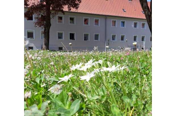 Terrassenwohnung mieten in 4400 Steyr (Bild 1)