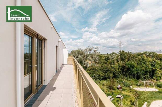 Terrassenwohnung kaufen in 1210 Wien (Bild 3)