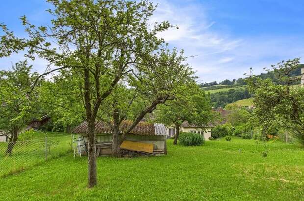 Grundstück kaufen in 4040 Lichtenberg