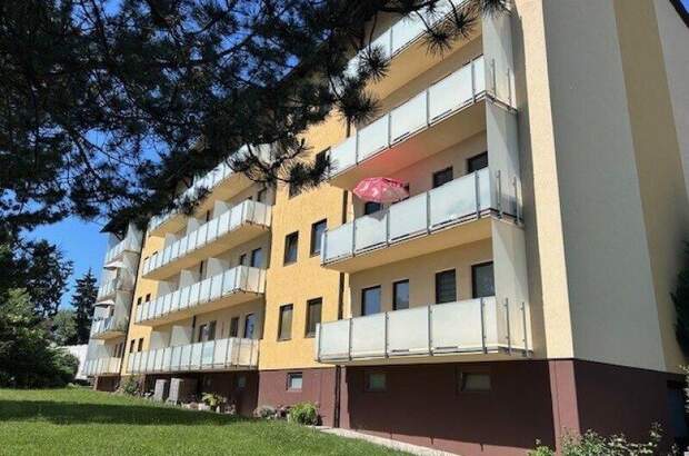 Terrassenwohnung kaufen in 3812 Groß (Bild 1)