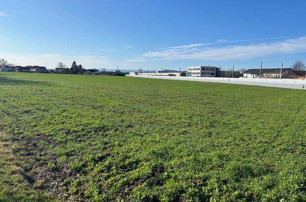 Grundstück kaufen in 8403 Lebring (Bild 5)