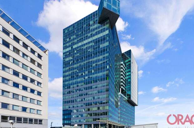 Gewerbeobjekt mieten in 1220 Wien (Bild 1)