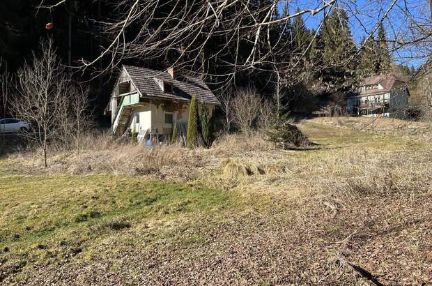 Haus kaufen in 9361 St. Salvator (Bild 3)
